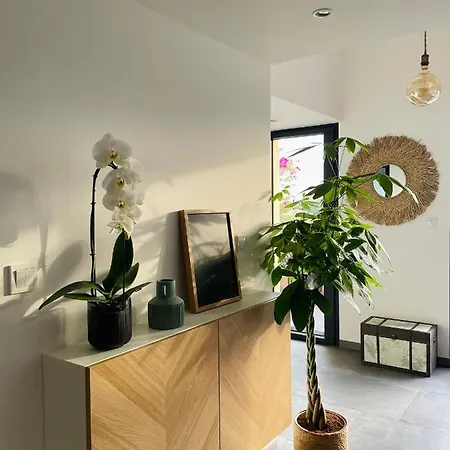 & Vue - Les O De * Бандоль